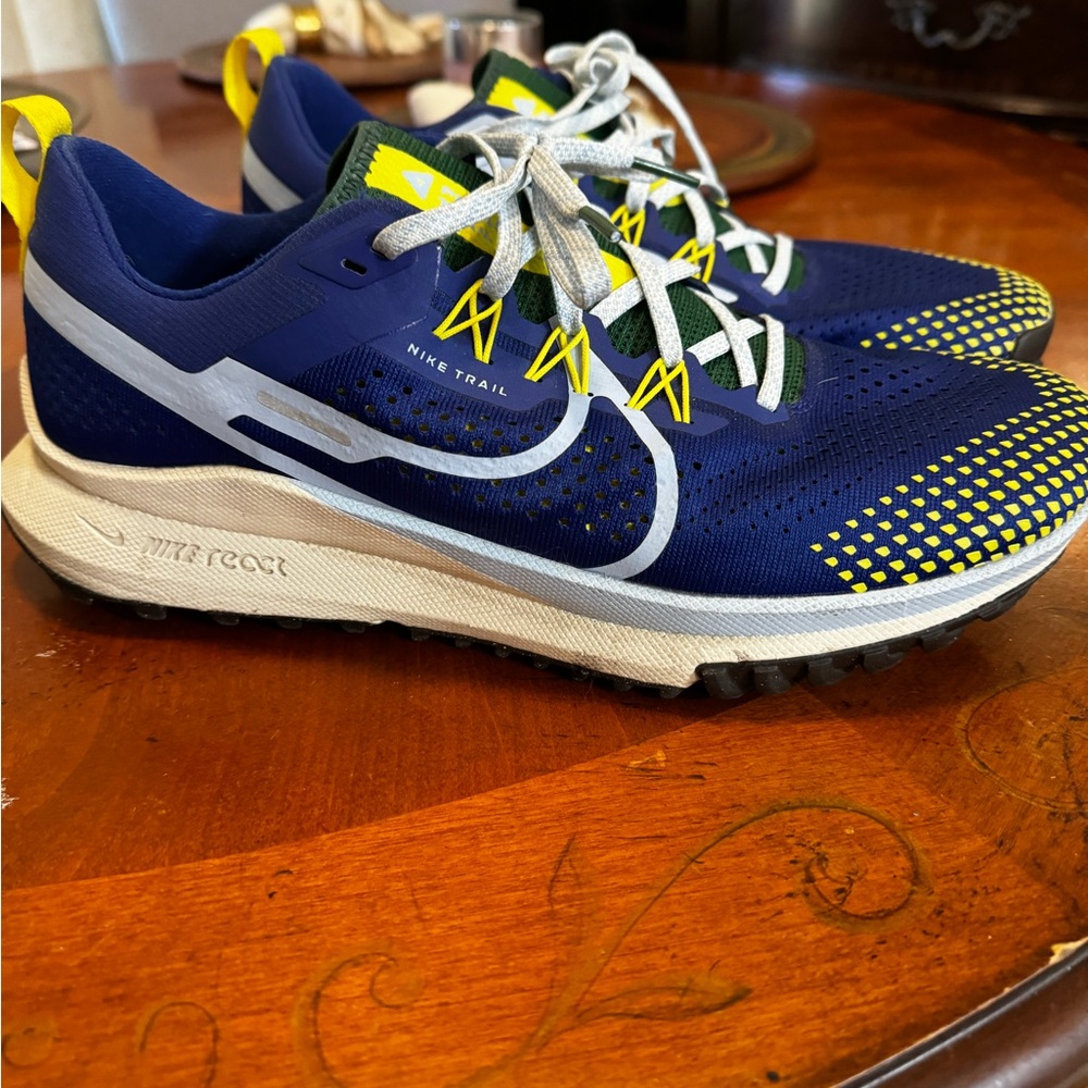 Nike Pegasus trail mens 10.5 new condition,  worn just a couple of times